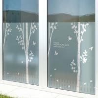 [MK] 칼라안개시트_푸른숲 행복한 자작나무