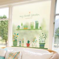 [MK] 안개칼라시트_스윗가드닝