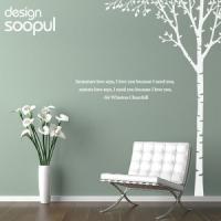 [SO] [나무]자작나무-싱글