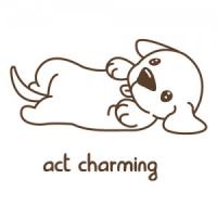 [SO] [동물]퍼피_액트