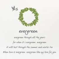 [SO] [나무]에버그린