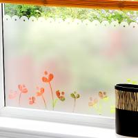 [JD] 리틀새싹 02  [안개시트지]