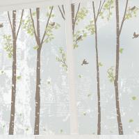 [MK] 고급칼라안개시트-빈티지 새들의 자작나무