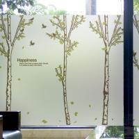 [MK] 고급칼라안개시트-숲속의 자작나무