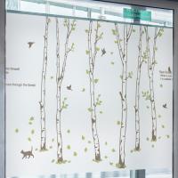 [MK] 고급칼라안개시트-자작나무 숲의 하루