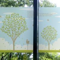 [MK] 고급칼라안개시트-푸른하늘과 풍요로운 나무