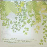 [MK] 고급칼라안개시트_행복한 나뭇잎 이야기02