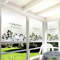 [JD] 에버그린01 [컷팅안개시트지/불투명시트지/엠보시트지]