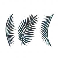 [스텐실도안] NS-3517