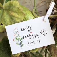 [스텐실도안] NS-1072(캘리그라피)