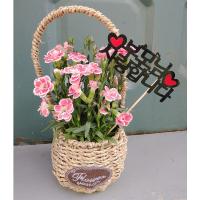 기념일 토퍼(부모님 사랑합니다)