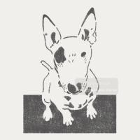 [스텐실도안]AJ-7006(테리)