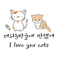 [스텐실도안]BJ-3010