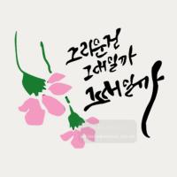 [스텐실도안] BJ-5006