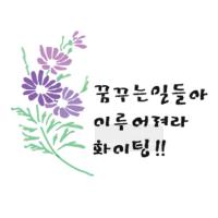 [스텐실도안] BJ-4029