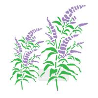 [스텐실도안]aj-7012 야생화 허브