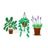 [스텐실도안]AJ-6048 반려식물