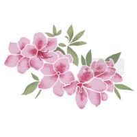 [스텐실도안] AJ-3196 철쭉꽃4