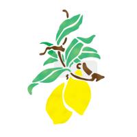 [스텐실도안]NS-1113 레몬