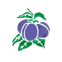 [스텐실도안]NS-1116 자두