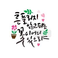 [스텐실도안]bj-4073흔들리지않고 피는꽃이 어디있으랴 켈리그라피
