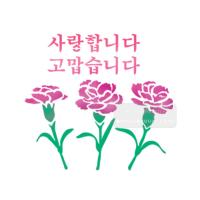 [스텐실도안]bJ-4102 사랑합니다 고맙습니다 카네이션(캘리그라피)