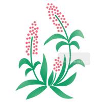 [스텐실도안]ns-1150야생화스텐실