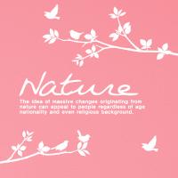 [MK] 새들의 정오