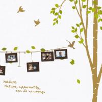 [MK]005 액자스티커_자작나무숲의 오후