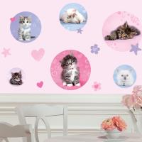 [RM] 러블리 키티  (Kitty Dot)