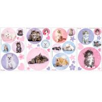 [RM] 러블리 키티  (Kitty Dot)