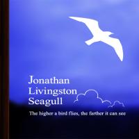 [WS] 갈매기의 꿈