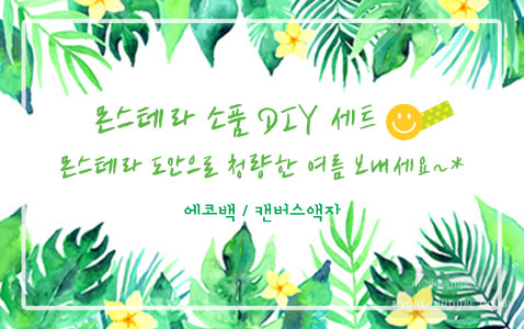 몬스테라 DIY세트